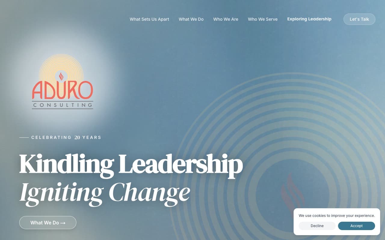 Aduro Consulting website screenshot